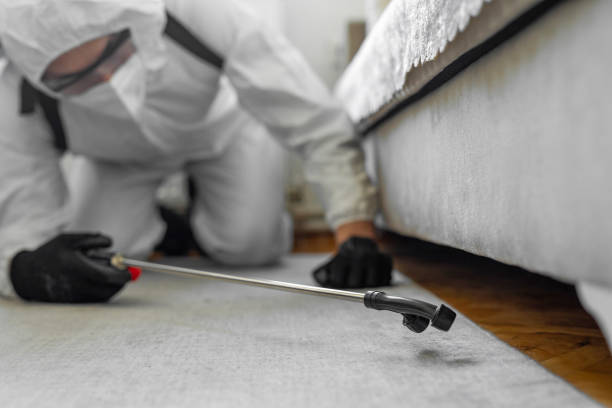 Professional Termite Control technician working in Adel, IA